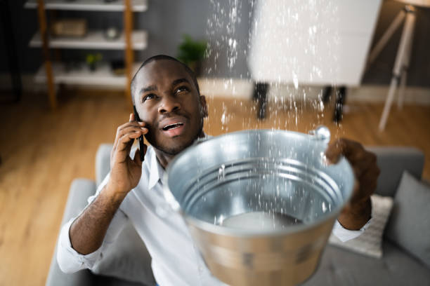 Best Water damage restoration near me  in York, NE
