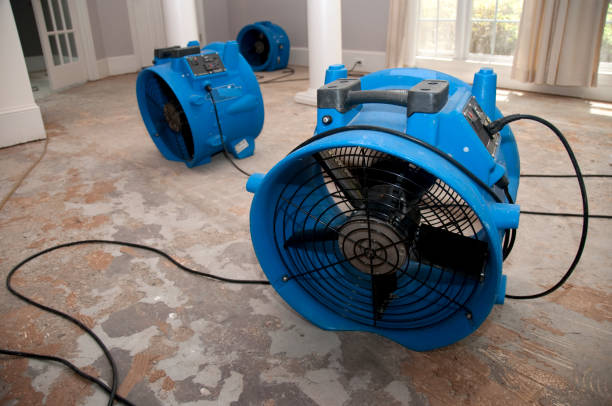 Best Residential water damage restoration  in York, NE